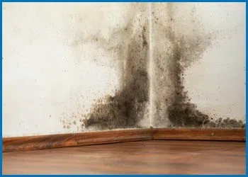 Deerfield Beach Restoration Expert Deerfield Beach, FL 754-216-6297