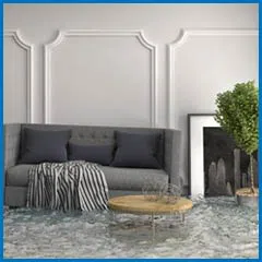 Deerfield Beach Restoration Expert Deerfield Beach, FL 754-216-6297