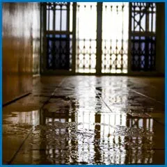 Deerfield Beach Restoration Expert Deerfield Beach, FL 754-216-6297